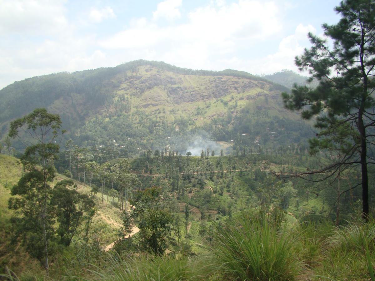 Ella Hotel Upper Hill Luaran gambar