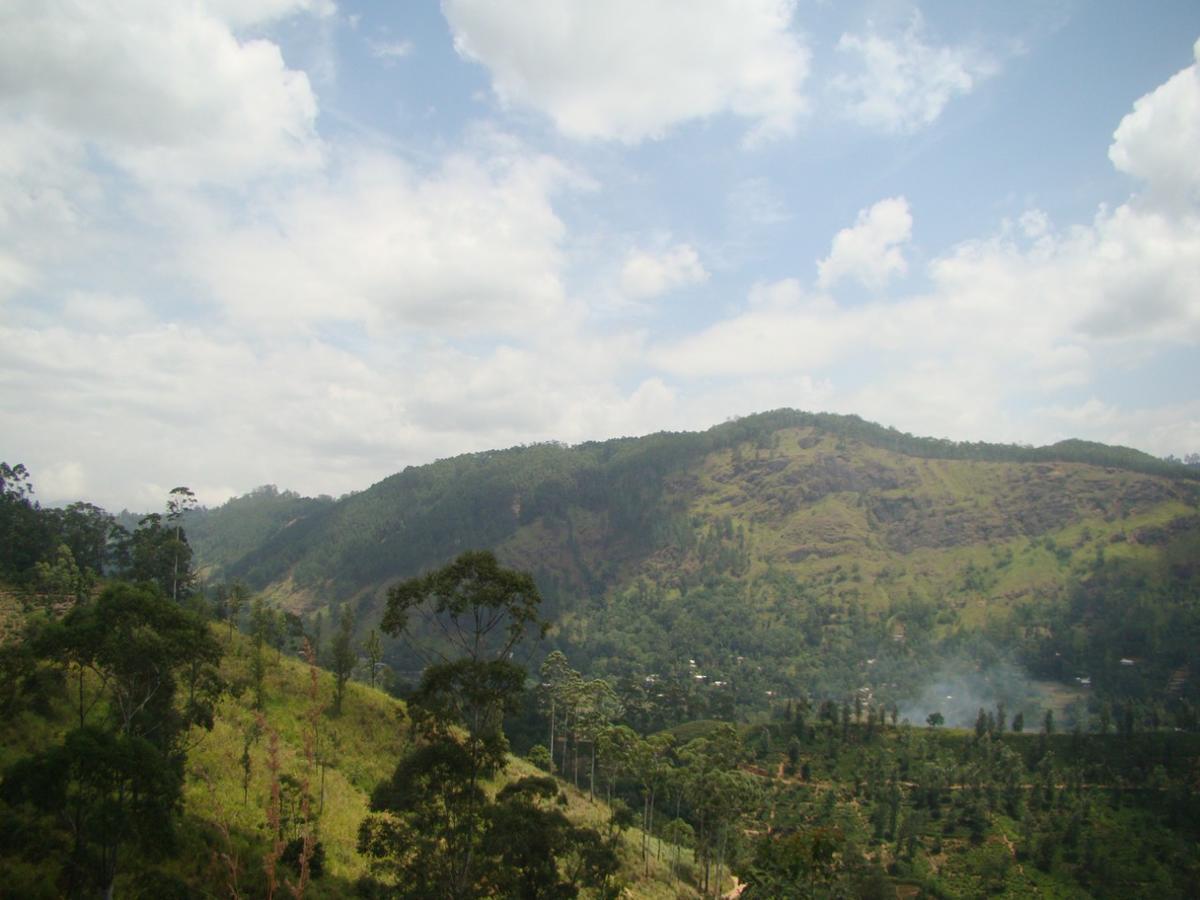 Ella Hotel Upper Hill Luaran gambar