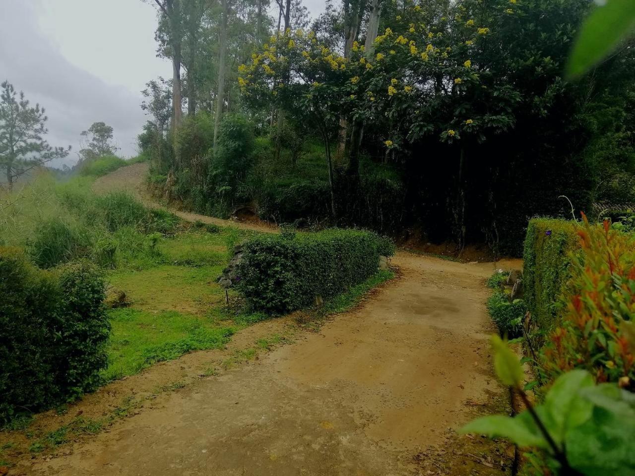 Ella Hotel Upper Hill Luaran gambar